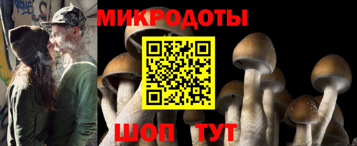 Галлюциногенные грибы Psilocybe Усинск